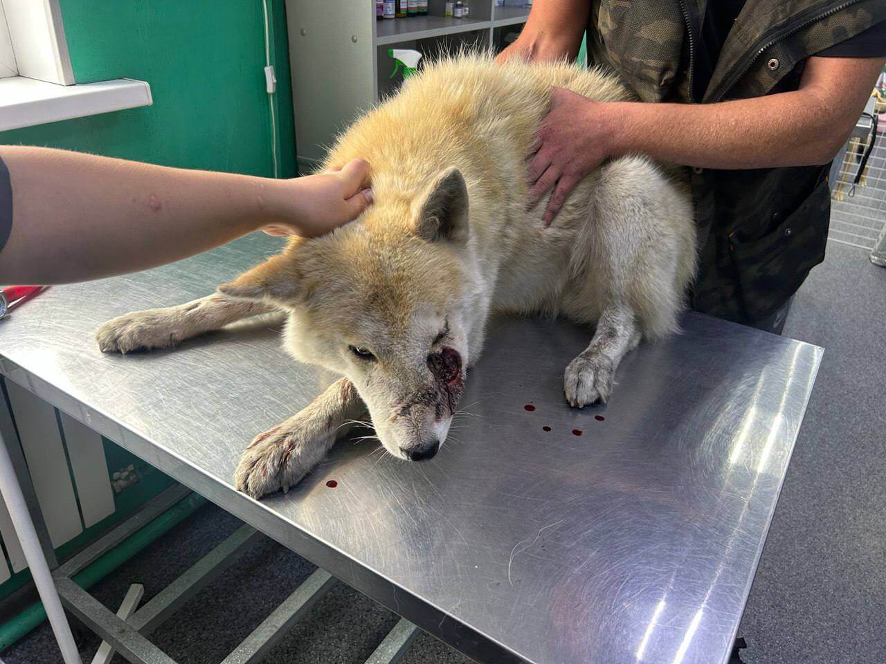 Фотография