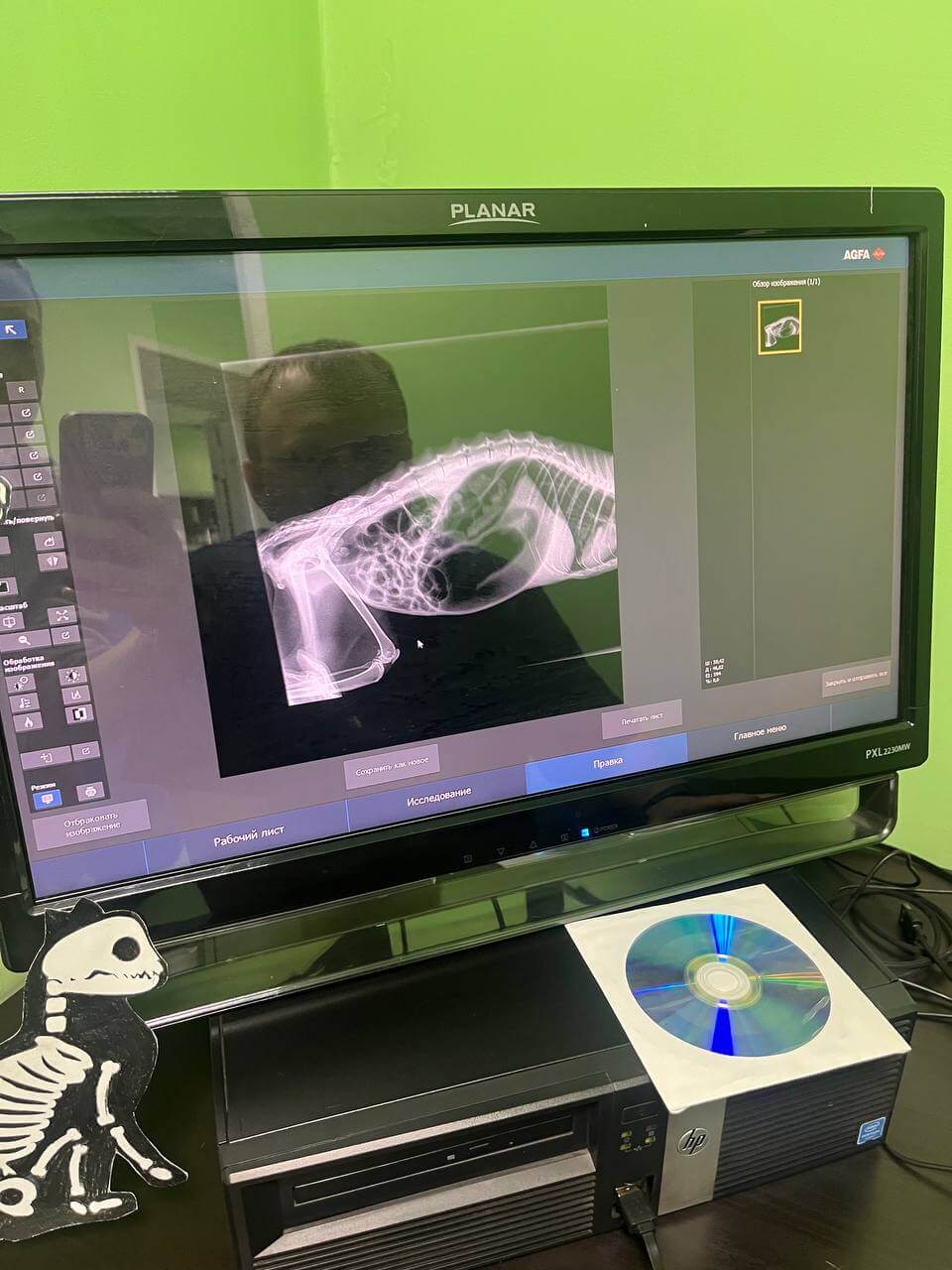 Фотография