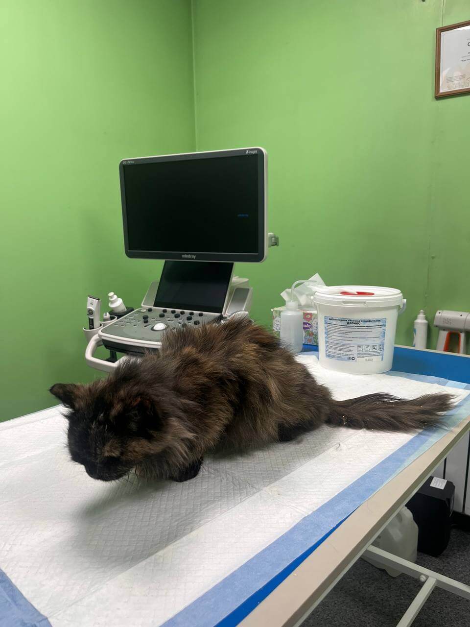 Фотография