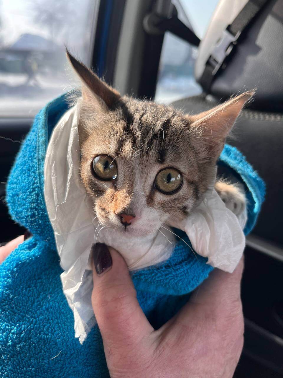 Фотография