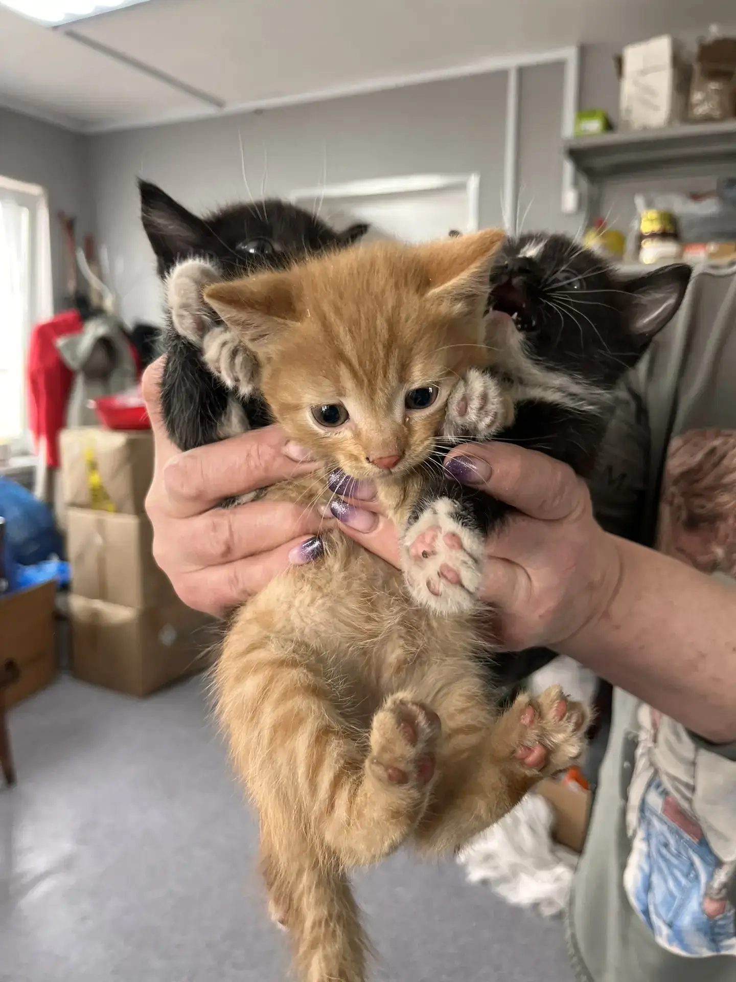 Фотография